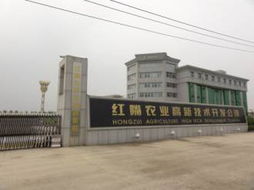 龍頭效應驅動下的技術開發 引領創新與產業變革